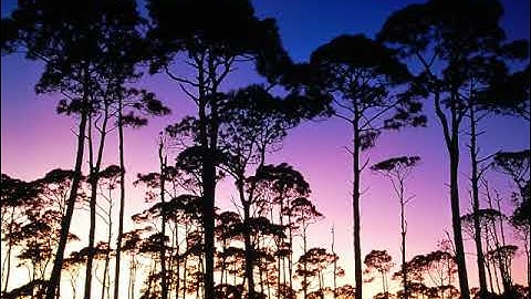 سورة القمر بصوت القارئ أحمد رضوان