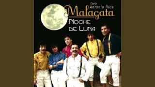 Video thumbnail of " Malagata - Sin Tu Amor Mi Vida Esta Perdida"