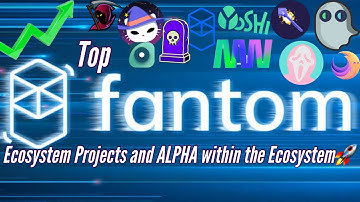 Top Fantom Ecosystem Gems | How to Setup Fantom Opera Wallet, Lucrative Staking APR
