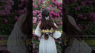 Preset Amdj Graze The Roof presetpresetjedagjedugperisetdibawah5mbxmlpresetkekinian