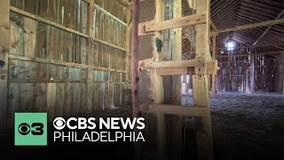 Black-owned Pa. farm vandalized with hate symbol; man charged in road rage shooting | Top stories