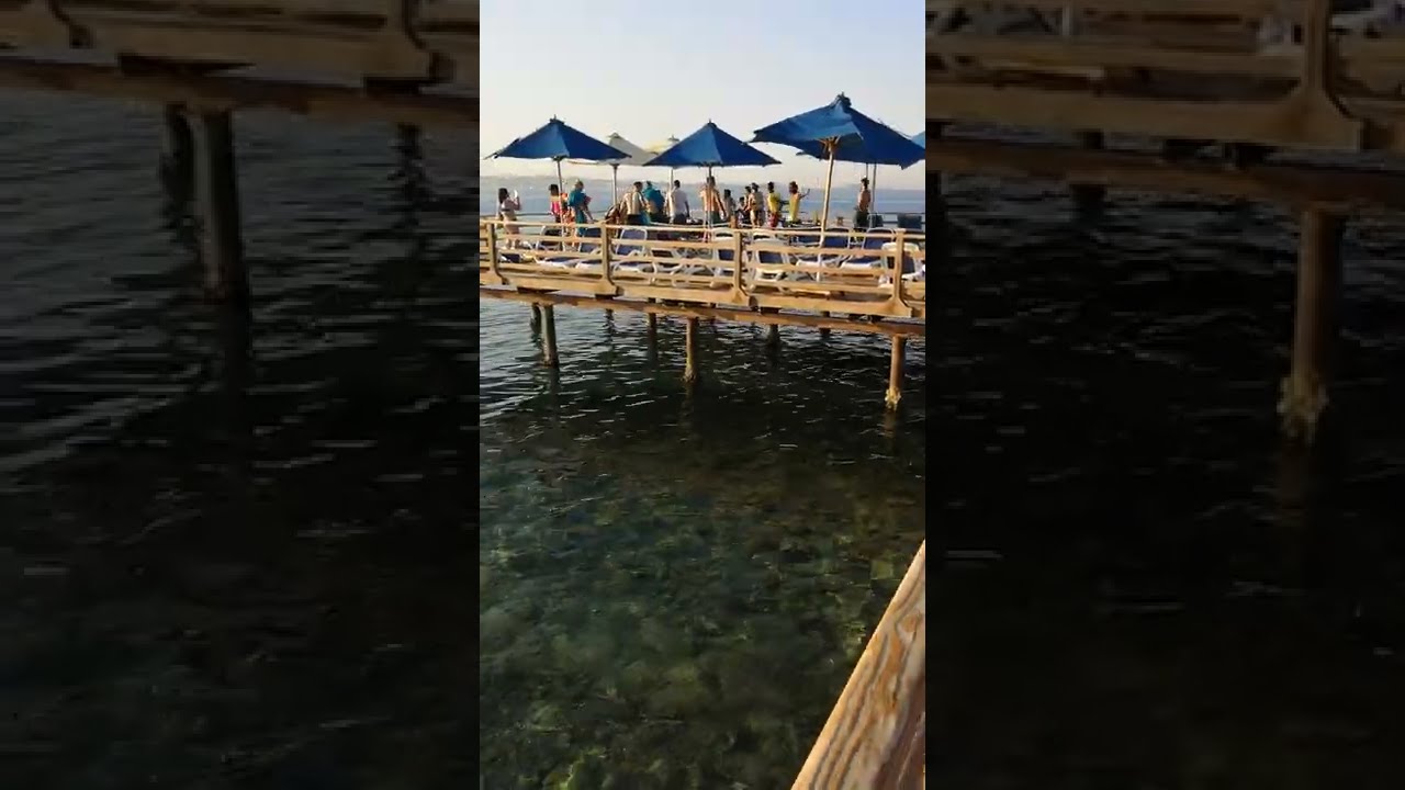 Акула Египет уходим мы с пирса