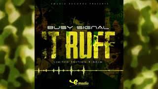 Busy Signal - It Ruff (Official Audio)