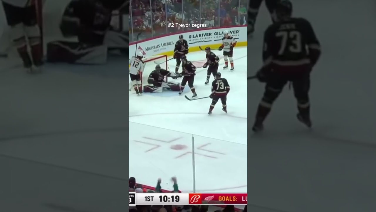 My top 3 Michigan goals