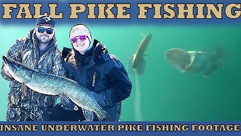 Waanzinnige onderwater snoekvisvideo - Een herfstavontuur op de noordelijke snoek