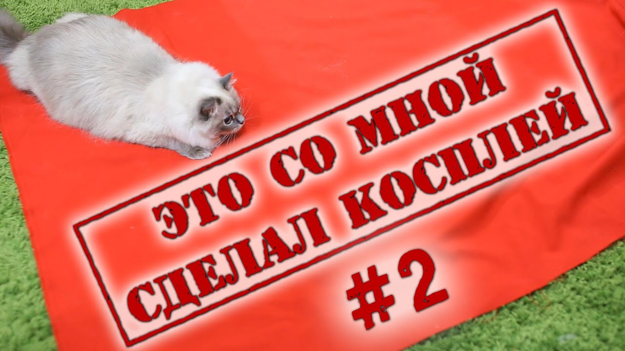 Это со мной сделал косплей #2 - Cat vs cosplay