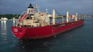 FEDERAL NAKAGAWA - Downbound Port Huron, Michigan 7-11-2021