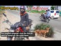 Motovlogging on multan to dehli road  travelling in pakistan   multan to dehli road