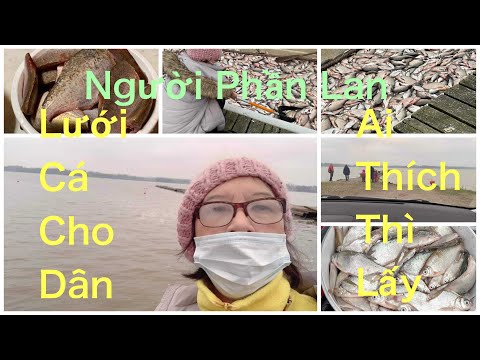 Video: Phần Lan Cho Trẻ Em: Những địa điểm Thú Vị ở Helsinki