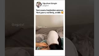 yavrusunu kaybeden anneye yeni yavru verilmiş. ERİDİK🥰