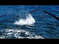 #96 日本でこんなバケモノ釣れるの?!巨大魚だらけの島の堤防でルアーを泳がせたら衝撃の大物が