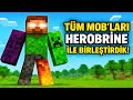 Tüm Mob'ları Herobrine ile Birleştirdik! (Minecraft Efsane Deney)