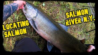 Locating Salmon In The River | Salmon River Pulaski N.Y.