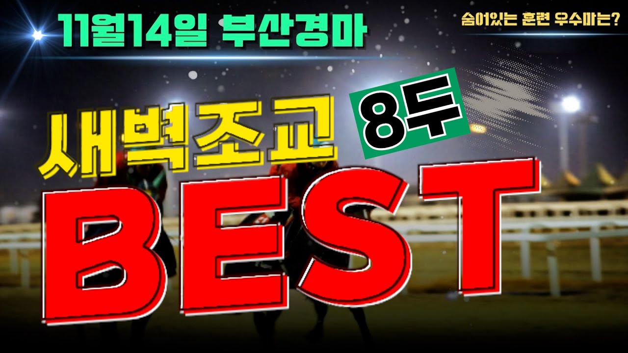 [굽소리경마] 11월14일 금요일 부산경마!! 어려운 부산경마 해법? 준비잘된 8두가 있다!!#새벽조교#과천경마장#조교우수마#굽소리경마