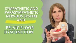 Sympathetic and Parasympathetic Nervous System and Pelvic Floor Dysfunction #pelvicfloordysfunction