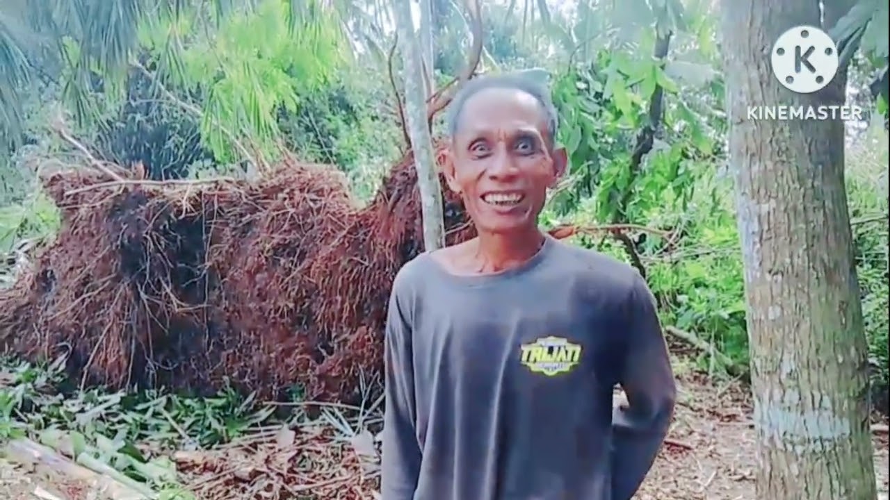 Angin beliung ditegalrejo Tegalsari banyuwangi