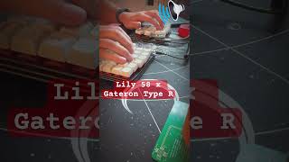 Lily 58 + Gateron Type R - 100% Tactile