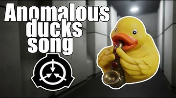 Anomalous ducks song