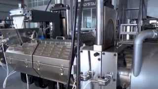 Two stage waste bag recycling machine