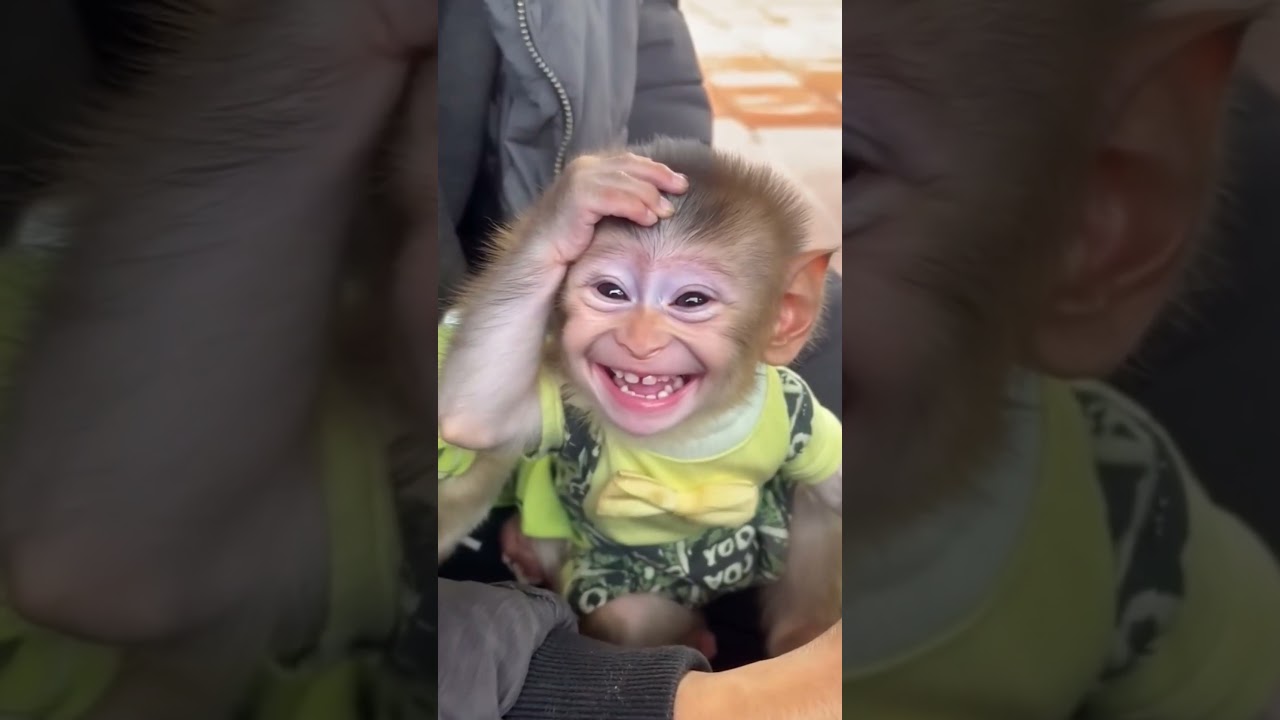 mor falanin 🤣ll jeevan sahu ll cg comedy 