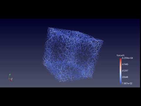 DEM simulation using Yade: the force network