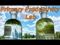 Calculating Net Primary Productivity in Aquatic Plants