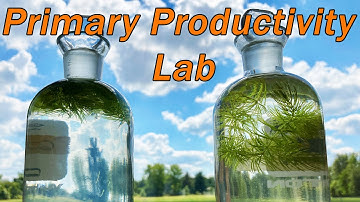 AP Environmental Science Net Primary Productivity (NPP) Unit 1 Lab