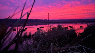 Arkansas duck hunt 8 MAN LIMIT
