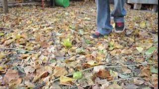 Sound Sample For Final Film Camera Sound