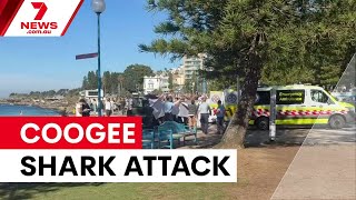 Over $300,000 raised for Coogee shark attack victim | 7NEWS