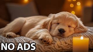 12 Hours Dog Anxiety Music 🎶 Relax My Dog - Dog Peaceful Audio For Stress Relief And Calm Behavior