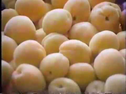 vintage helmet Safeway ad, 1989