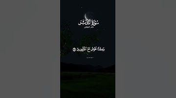 آيات الله العظيمة: رحلة إيمانية تغمرك بالسكينة #تلاوة_خاشعة #تلاوة_مؤثرة #القرآن_الكريم #حالات_واتس