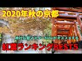 2020年秋の京都！紅葉ランキングBEST５！神社仏閣マスターが指南　今年は絶対に京都がオススメ