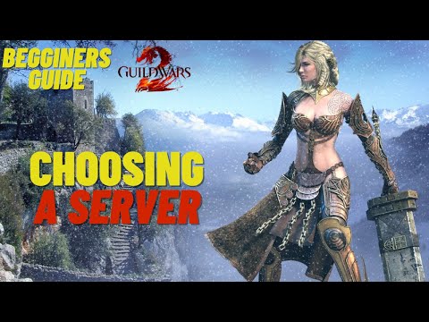 How to pick a server in Guild Wars 2  Beginners Guide