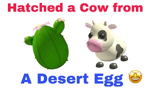 I hatched a Cow from a Desert Egg - Adopt Me