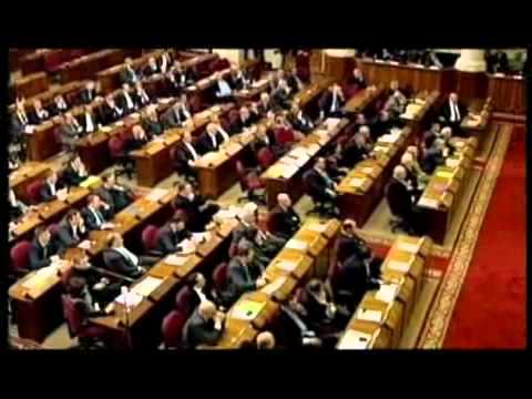 17/06/11 ანატომია: მერაბ სამადაშვილი