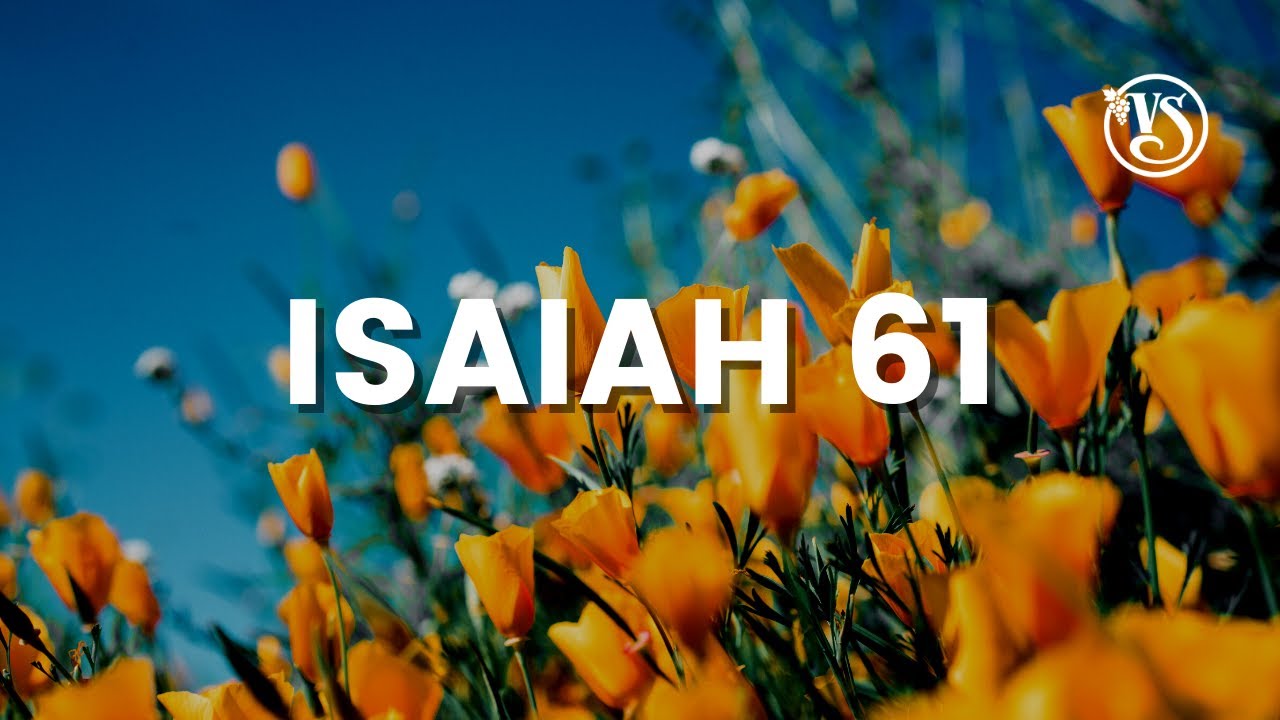 Watch Vinesong - Isaiah 61 (Lyric Video) on YouTube Watch Vinesong - Isaiah 61 (Lyric Video) on YouTube