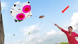 4 Feet White Sherla Vs 3 Small Kite Catch Other Roof screenshot 4