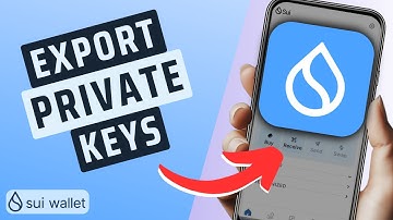 How To Get And Export Sui Wallet Private Key- STEP BY STEP