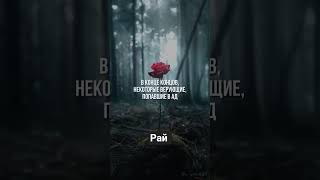 Вот как нас встретить наш пророк С.А.В иншаалах