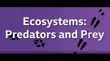 BBC Bitesize KS3 Biology Ecosystems Predators & prey