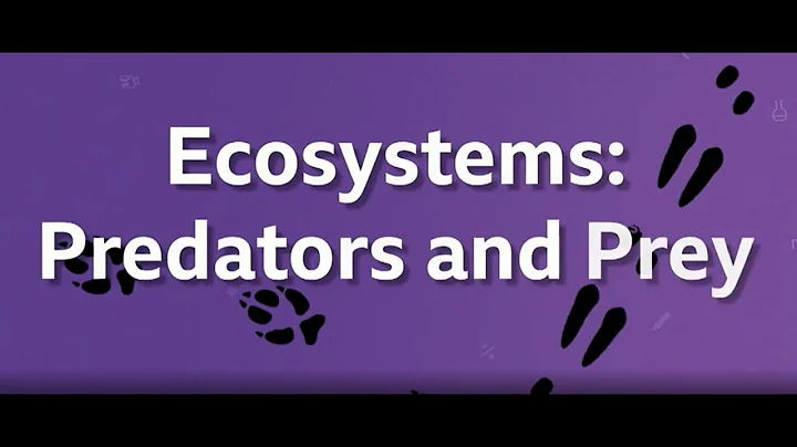 BBC Bitesize KS3 Biology Ecosystems Predators & prey
