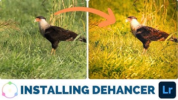 How To INSTALL Dehancer in Lightroom Classic//GPU Operation Error Issue