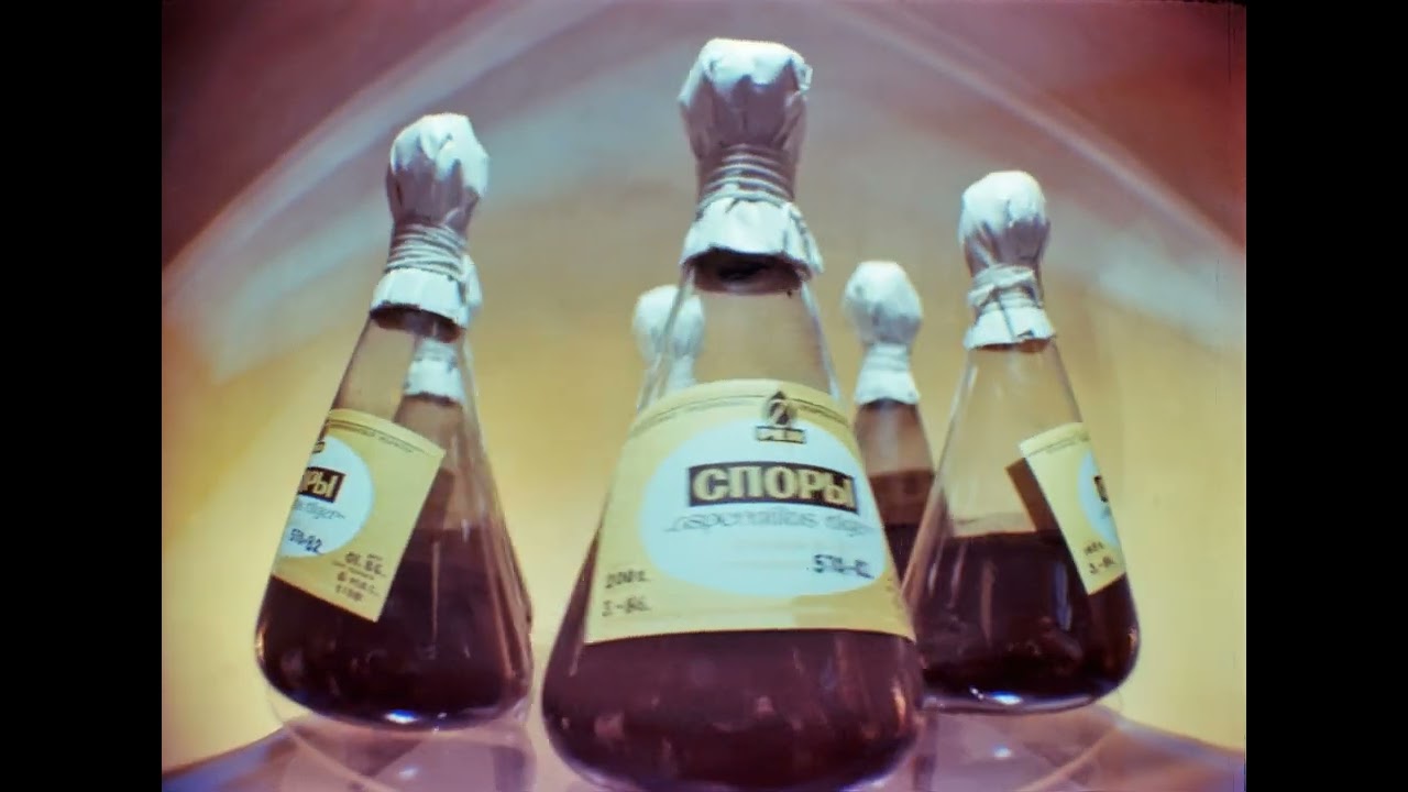 Производство лимонной кислоты