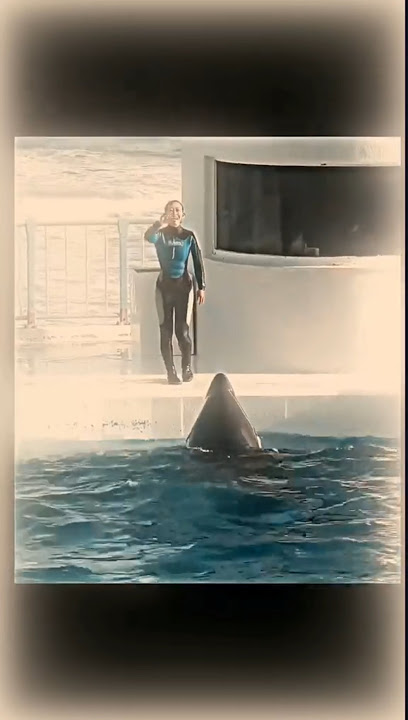 Rip jessica 😥 #shorts #trendingshorts #jessica #dolphinaccident