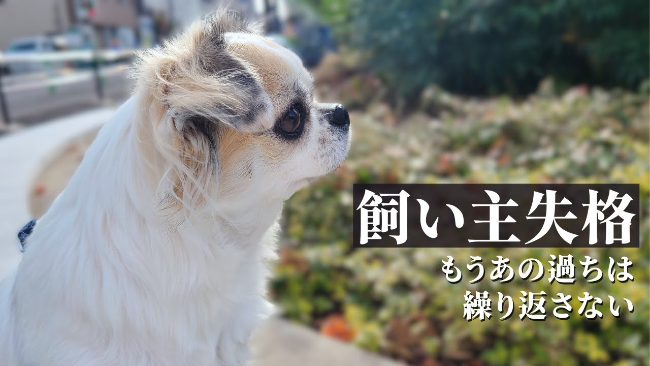 『飼い主失格』。新年早々、愛犬におとずれた異変。