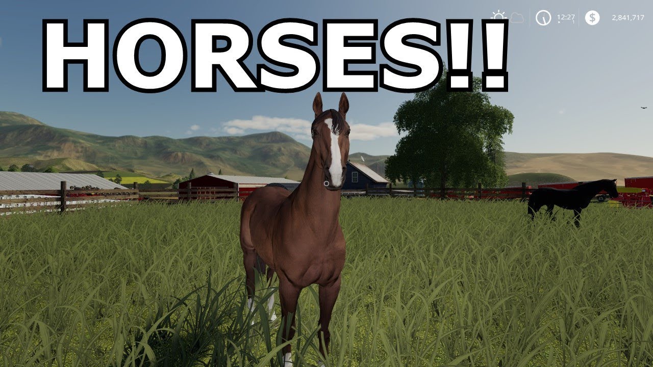 Farm Sim Saturday setting up the horses YouTube