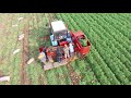 Carrot Harvester ASA-LIFT CM 1000C. Морковоуборочный комбайн ASA-LIFT CM-100C