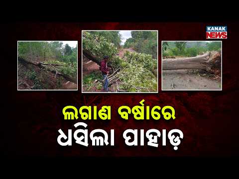 Landslide and Fallen Trees Disrupt Road Connectivity in Malkangiri's Kalimela